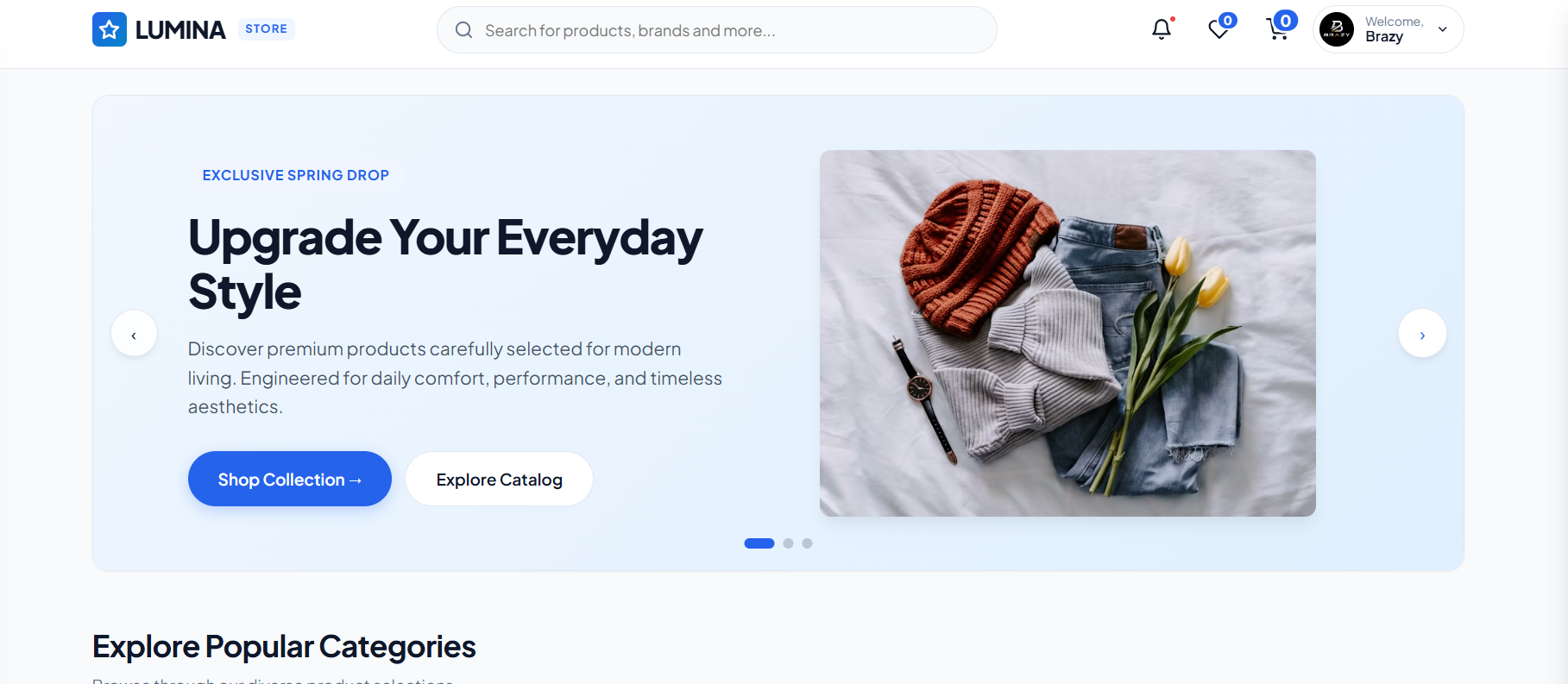 E-commerce website preview
